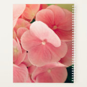 Hortensia Hydrangea rosa pastellfarbene Blume Planer (Rückseite)