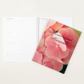 Hortensia Hydrangea rosa pastellfarbene Blume Planer (Anzeige)