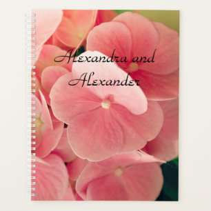 Hortensia Hydrangea rosa pastellfarbene Blume Planer