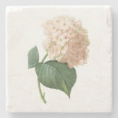Hortensia (Hydrangea-SP.) durch Redouté Steinuntersetzer (Vorderseite)