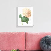 Hortensia(Hydrangea sp.) von Redouté Leinwanddruck (Insitu (Wohnzimmer))