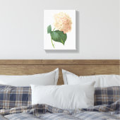 Hortensia(Hydrangea sp.) von Redouté Leinwanddruck (Insitu (Schlafzimmer))