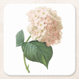 Hortensia(Hydrangea sp.) von Redouté Rechteckiger Pappuntersetzer