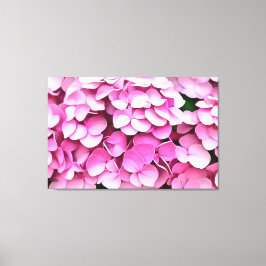 Hortensia Pink Petals Artistic Abstrakt Leinwanddruck