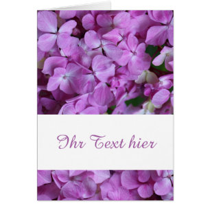 hortensie