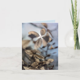 Hortensie Abstract Karte