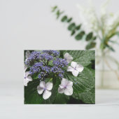 Hortensie: Japan Postkarte (Stehend Vorderseite)