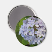 Hortensie Magnet (Vorderseite/Rückseite)