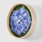Hortensie Uhr (Winkel)