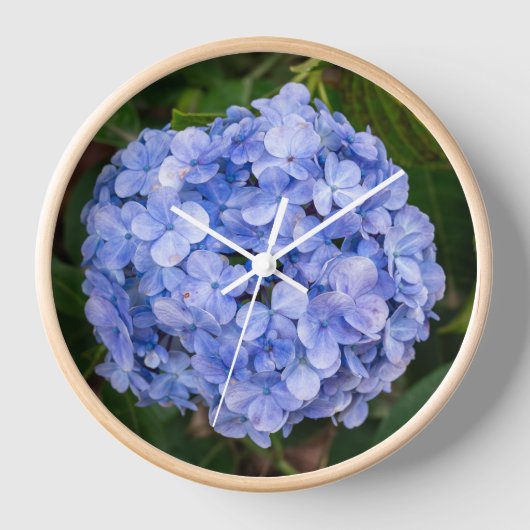 Hortensie Uhr (Vorderseite)