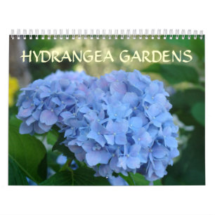 Hortensien-Gärten Kalender Blaue Hortensien