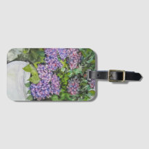 Hortensienblüte