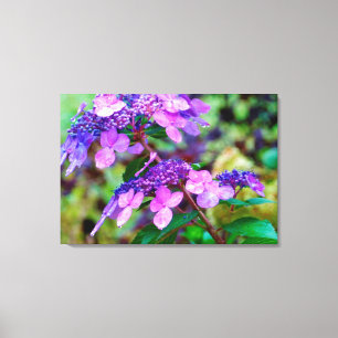 Hortensienblüte Purple Twist und Shout Leinwanddruck