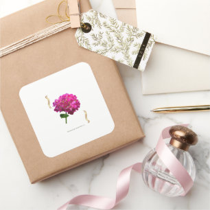 Hortensienblüte – Vintage-Botanik Fuchsia Quadratischer Aufkleber