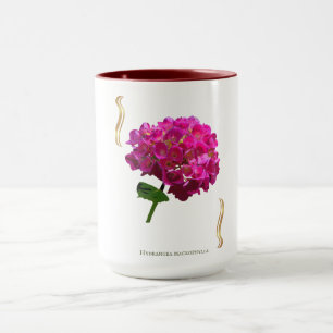 Hortensienblüte – Vintage-Botanik Fuchsia Tasse