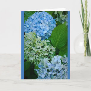 Hortensienblüten Karte