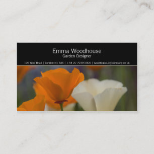 Hortus 2 - Kalifornien-Mohnblumen-Visitenkarte Visitenkarte