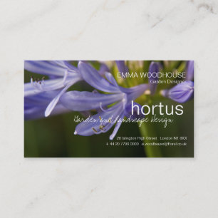 Hortus - Agapanthus-Visitenkarte Visitenkarte