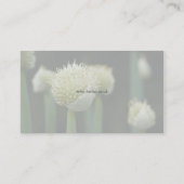 Hortus - Allium Business Card Visitenkarte (Rückseite)