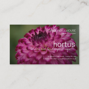 Hortus - Dahlie-Visitenkarte Visitenkarte