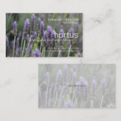 Hortus - Lavendel-Visitenkarte Visitenkarte (Vorne/Hinten)