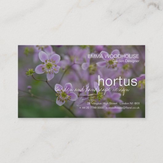 Hortus - Thalictrum-Visitenkarte Visitenkarte (Vorderseite)