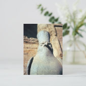 Horusstatue Postkarte (Stehend Vorderseite)