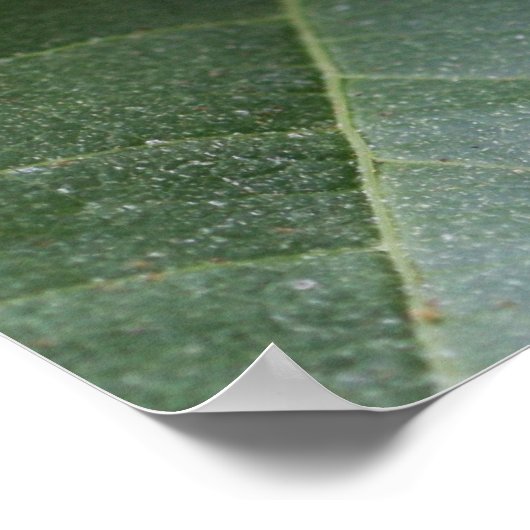 Hosea 4:6 Scripting Poster (Ecke)