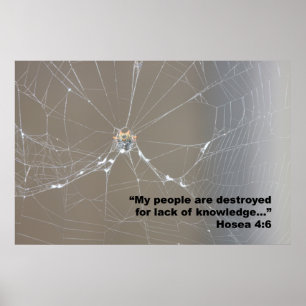 Hosea 4:6 Scripting Poster, Version D Poster