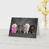 Hosen-… Art von wichtigem Karte (Gelbe Blume)