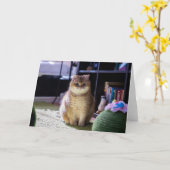 Hosico beobachtet karte (Gelbe Blume)