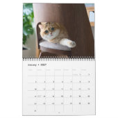 Hosico Calendar 2026 Kalender (Jan 2027)