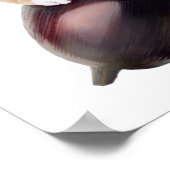 Hosico Epifania Poster (Ecke)