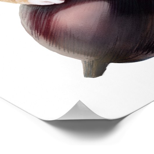 Hosico Epifania Poster (Ecke)