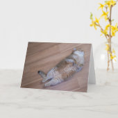 Hosico Fliegen Karte (Gelbe Blume)