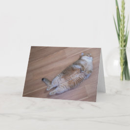 Hosico Fliegen Karte