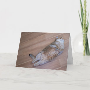 Hosico Fliegen Karte