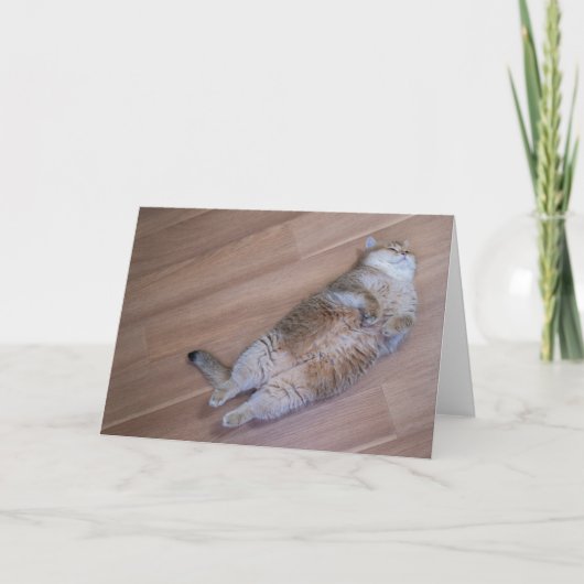 Hosico Fliegen Karte (Vorderseite)