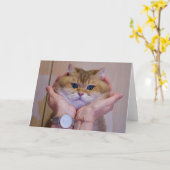 Hosico in den Handflächen Karte (Gelbe Blume)