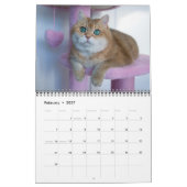 Hosico Kalender 2026 (Feb 2027)