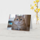 Hosico Karte (Gelbe Blume)