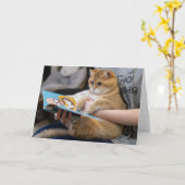 Hosico liest ein Buch Karte (Gelbe Blume)