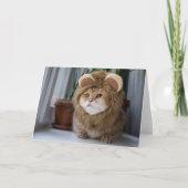 Hosico Löwe Karte (Vorderseite)