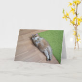 Hosico niedlich cat karte (Gelbe Blume)