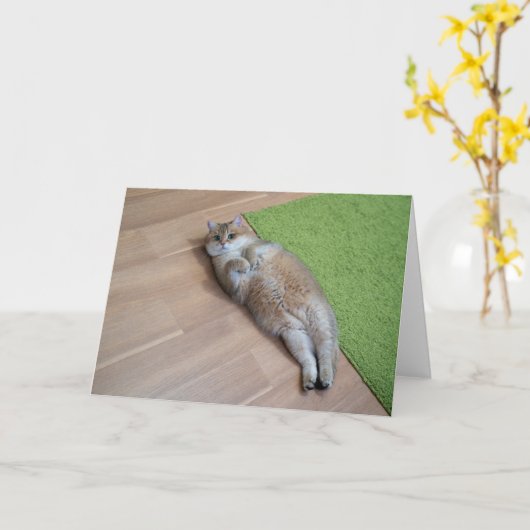 Hosico niedlich cat karte (Gelbe Blume)