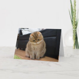 Hosico niedliches Baby Karte