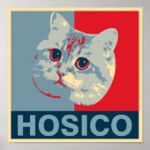 Hosico - Red Blue Illustration Poster (Vorne)