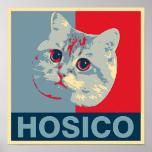 Hosico - Red Blue Illustration Poster