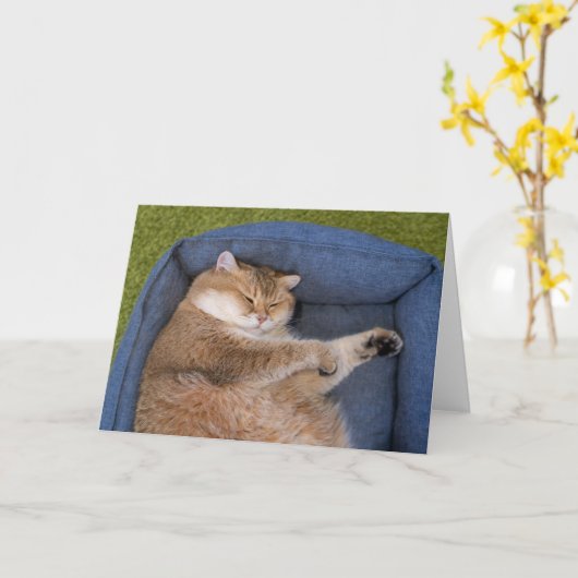 Hosico schläft karte (Gelbe Blume)