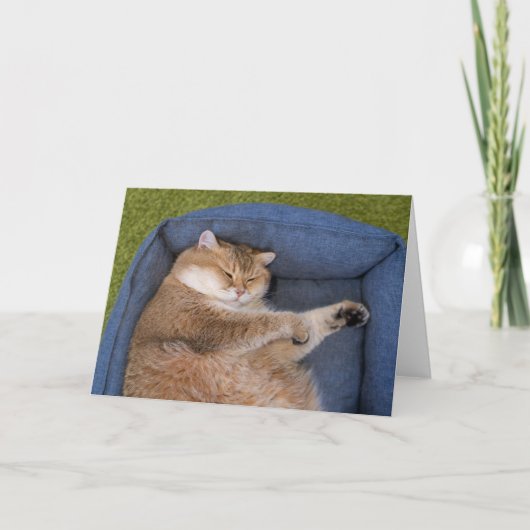 Hosico schläft karte (Vorderseite)